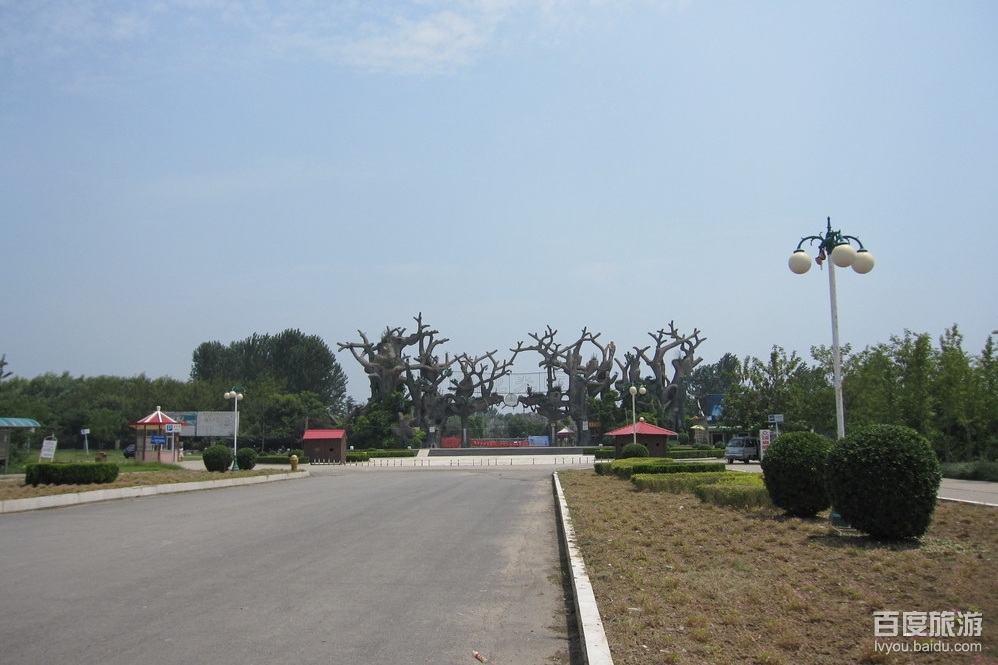 禹州森林植物园VR全景