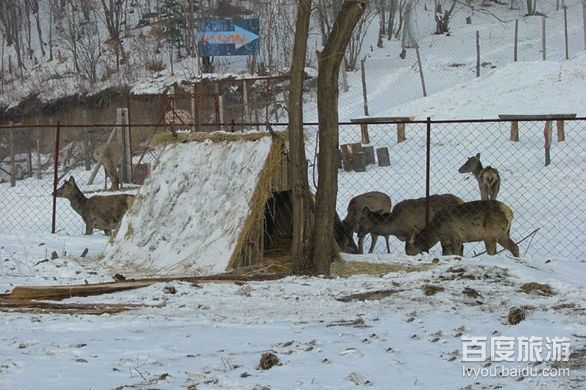 桃山狩猎场VR全景