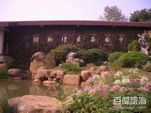 中国茶叶博物馆VR全景