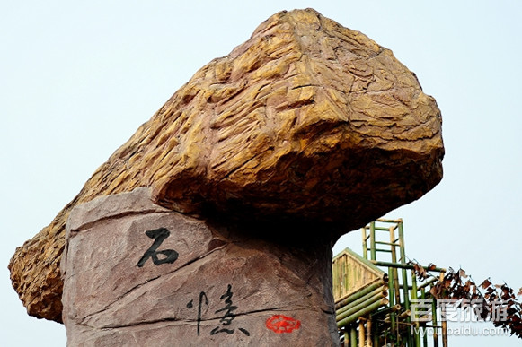 硅化木国家地质公园VR全景