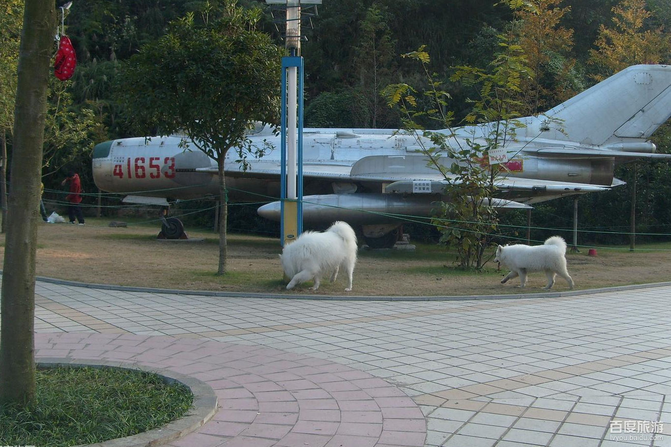 遵义动物园VR全景