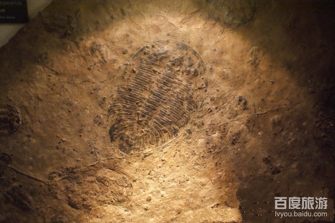 中国地质博物馆VR全景