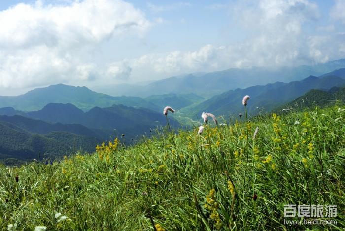 空中草原VR全景