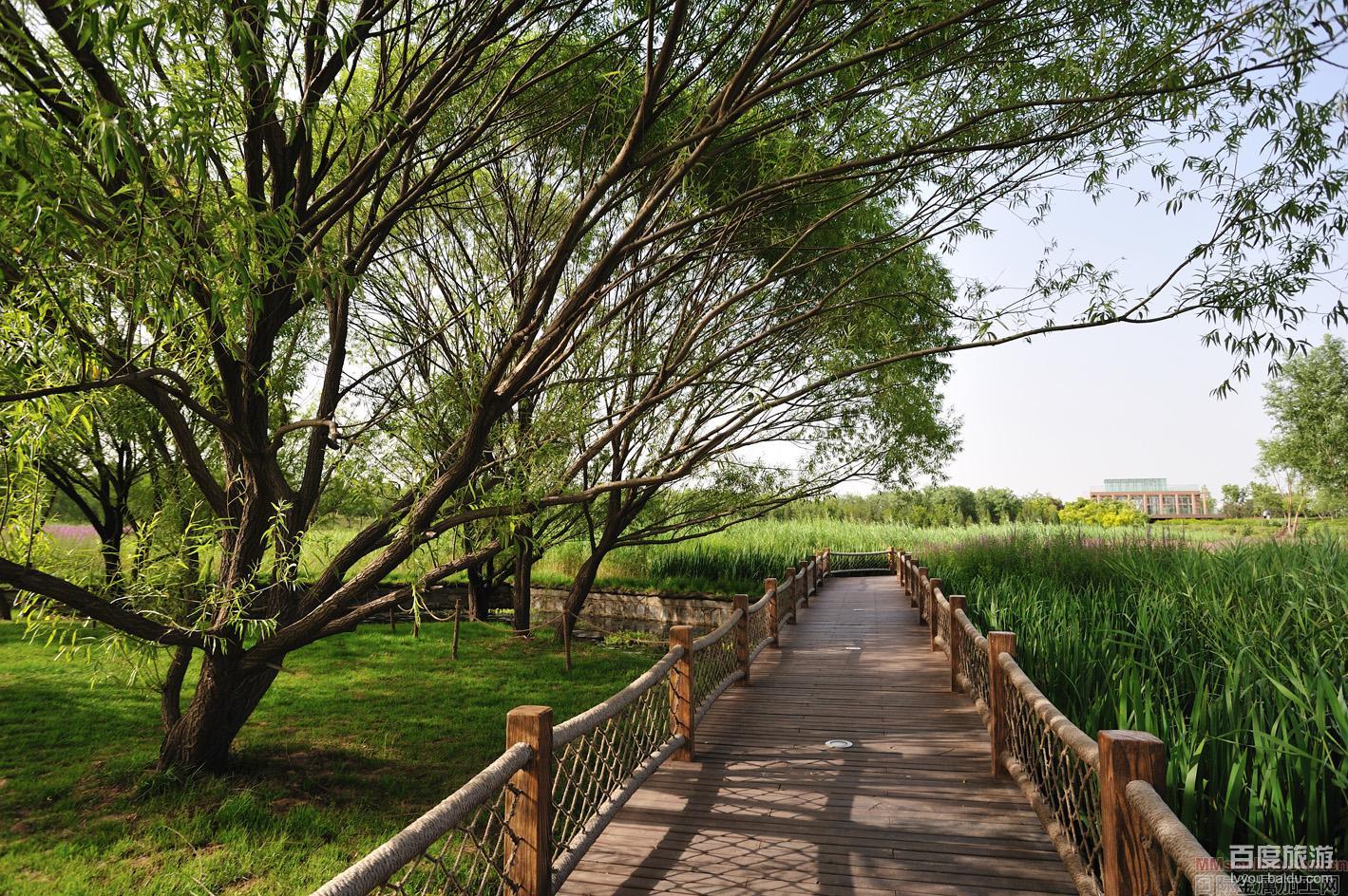 奥林匹克森林公园