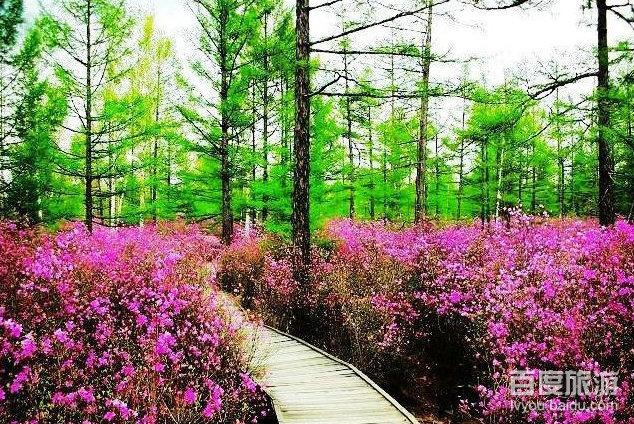 溪水国家森林公园VR全景