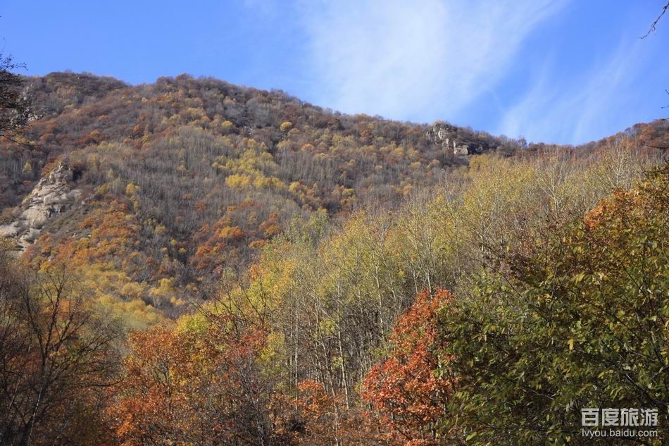 喇叭沟门森林公园VR全景