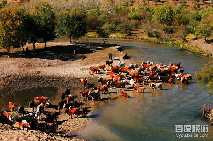 辽河源国家森林公园VR全景