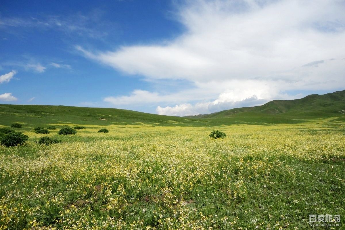 甘加草原VR全景