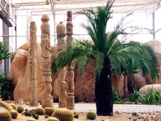 天津热带植物观光园VR全景