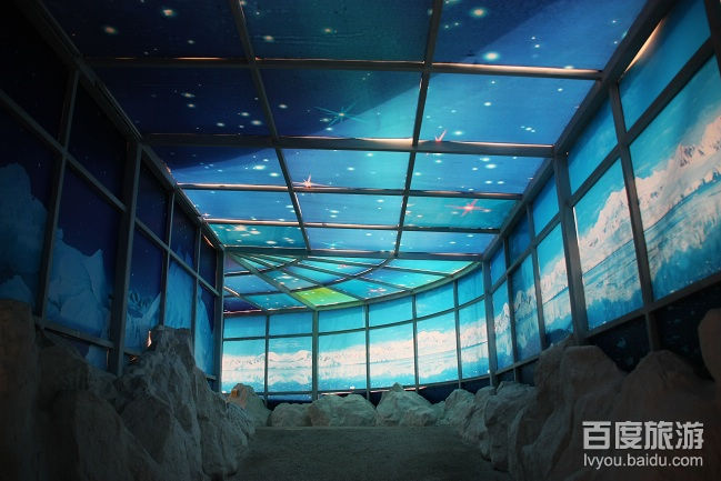 华南植物园VR全景