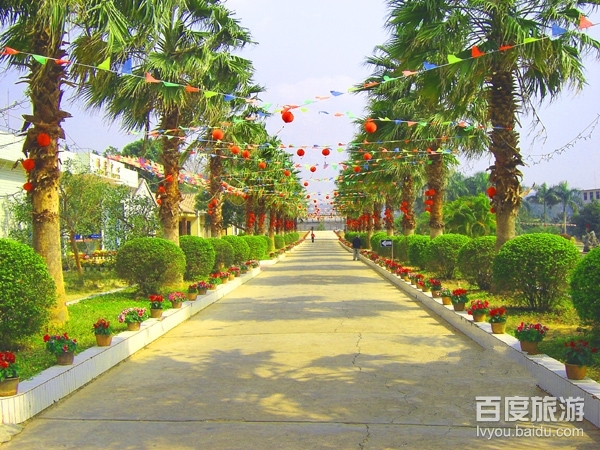 南亚热带植物园VR全景