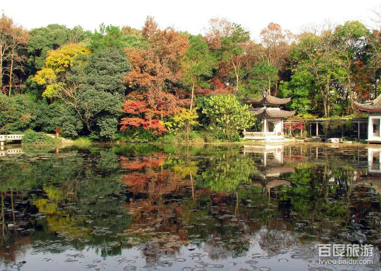 杭州植物园VR全景