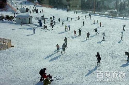金山滑雪场VR全景