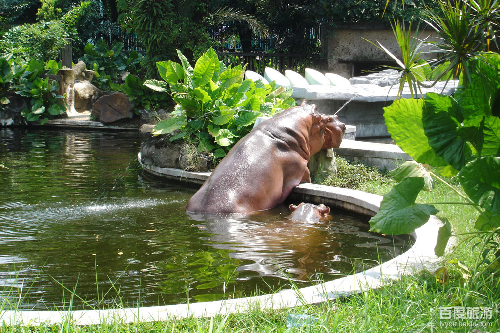 广州动物园VR全景