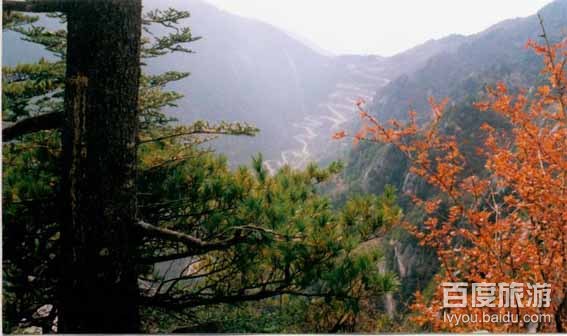 天童国家森林公园VR全景