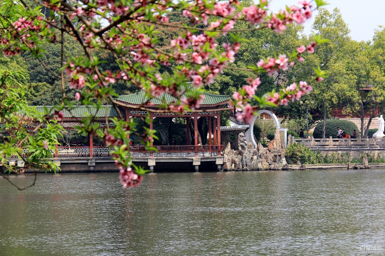 西湖公园VR全景