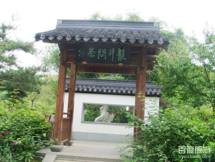 龙井问茶VR全景