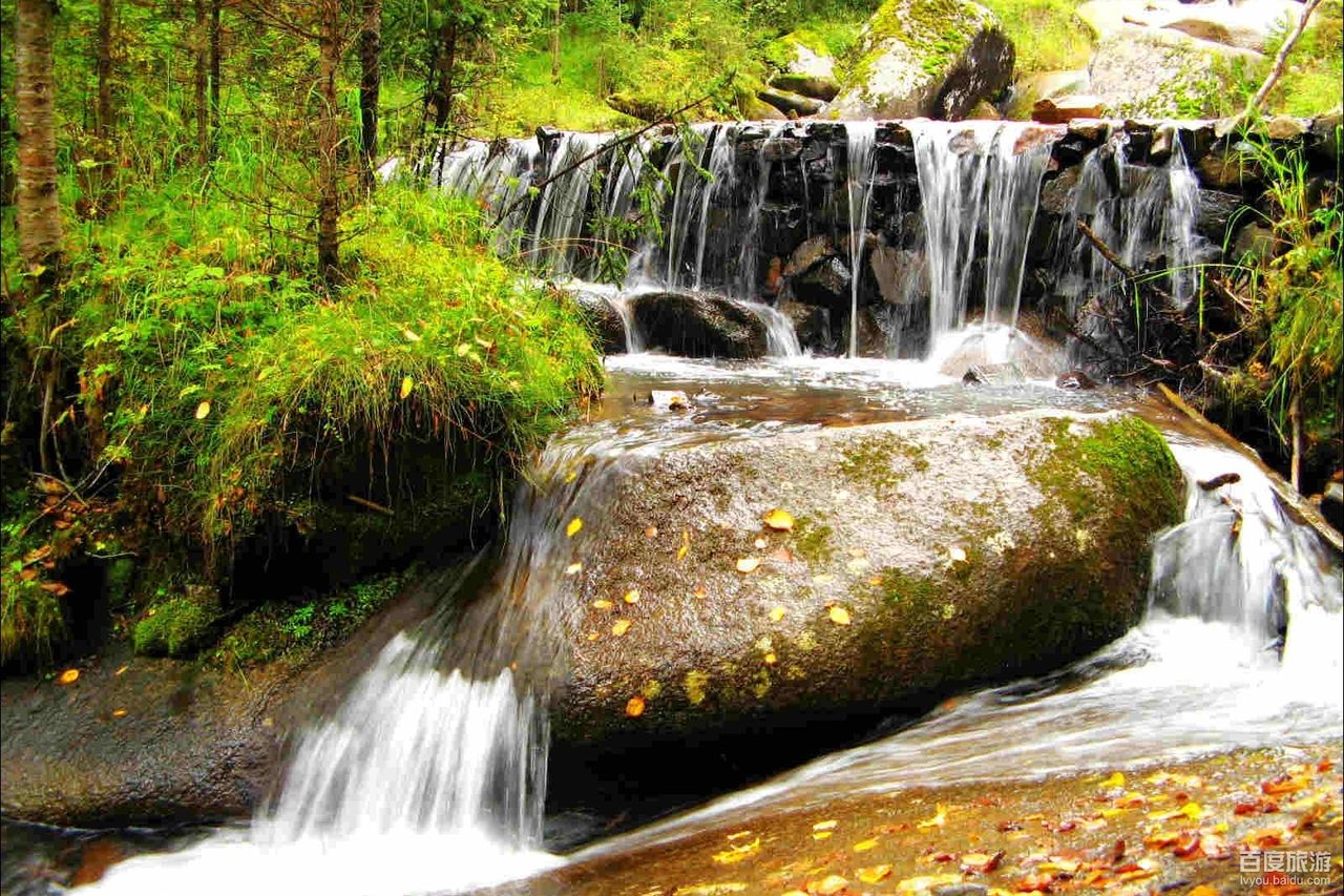 黄捻子森林公园VR全景