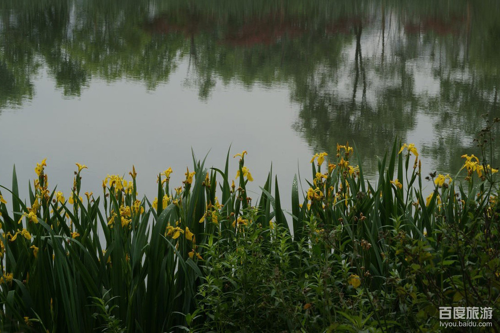 九峰国家森林公园VR全景