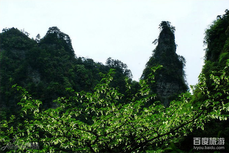 七姊妹山VR全景