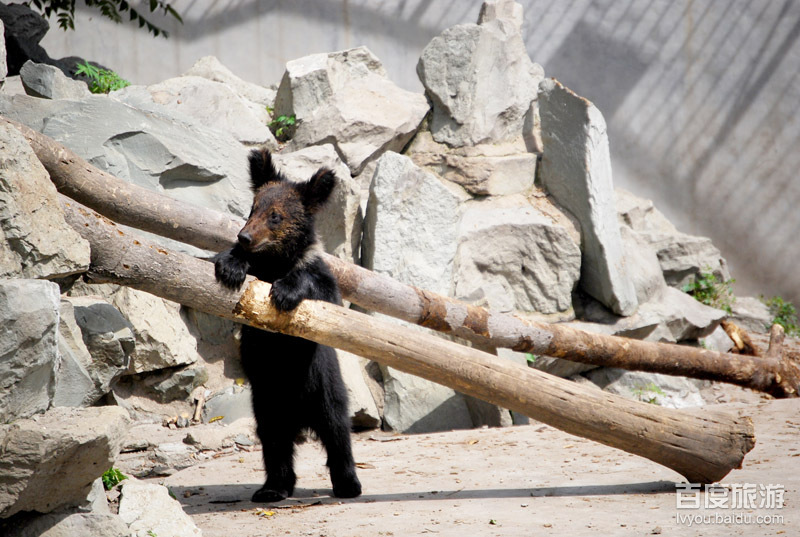 天津动物园VR全景