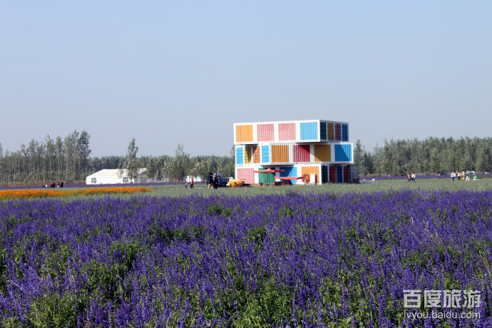 布拉格农场VR全景