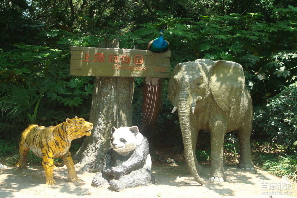 上海动物园VR全景