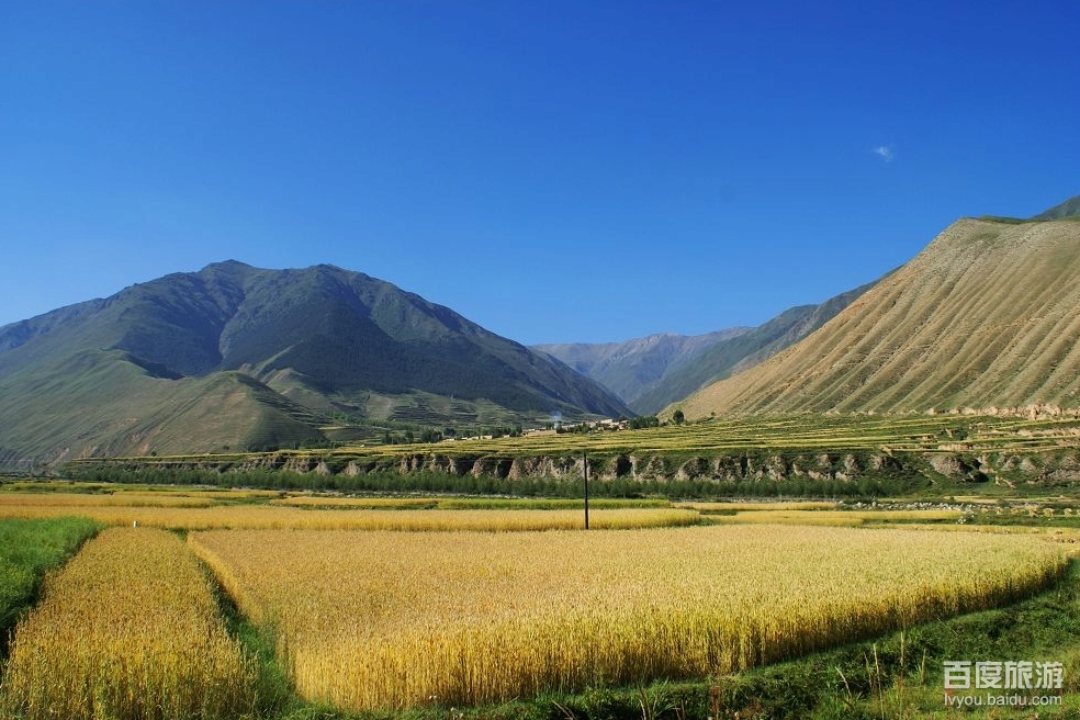 达力加山VR全景