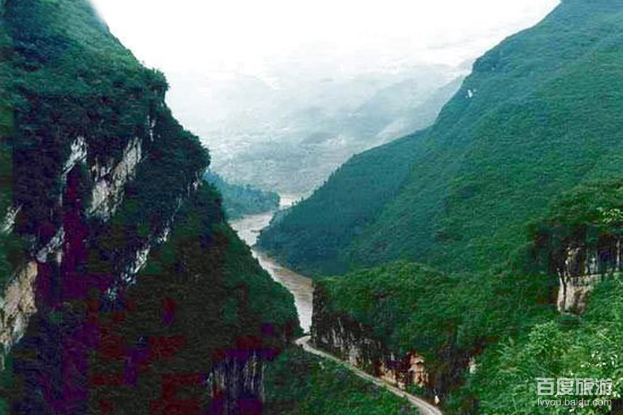 大沙河银杉自然保护区VR全景