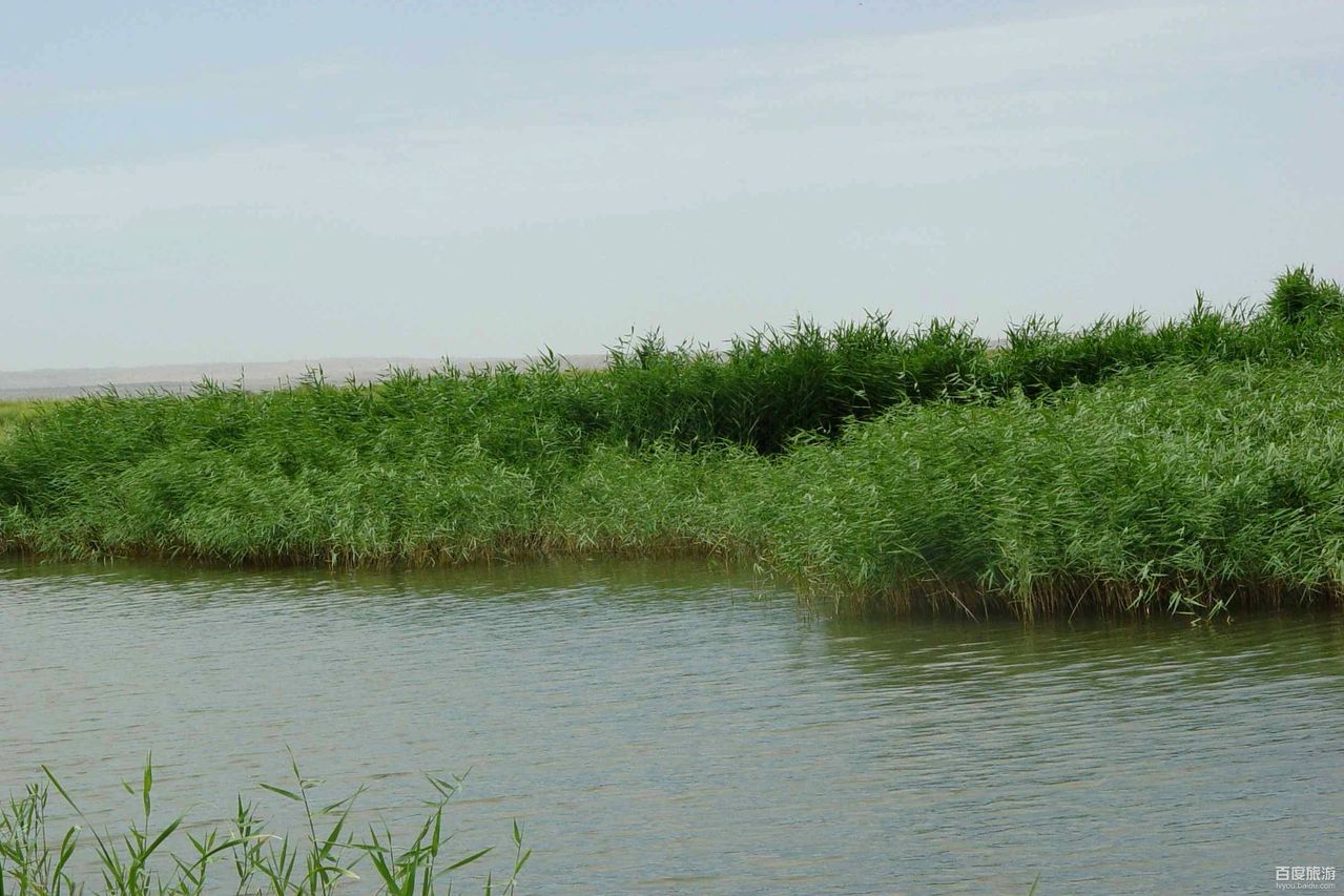 桥子东坝VR全景